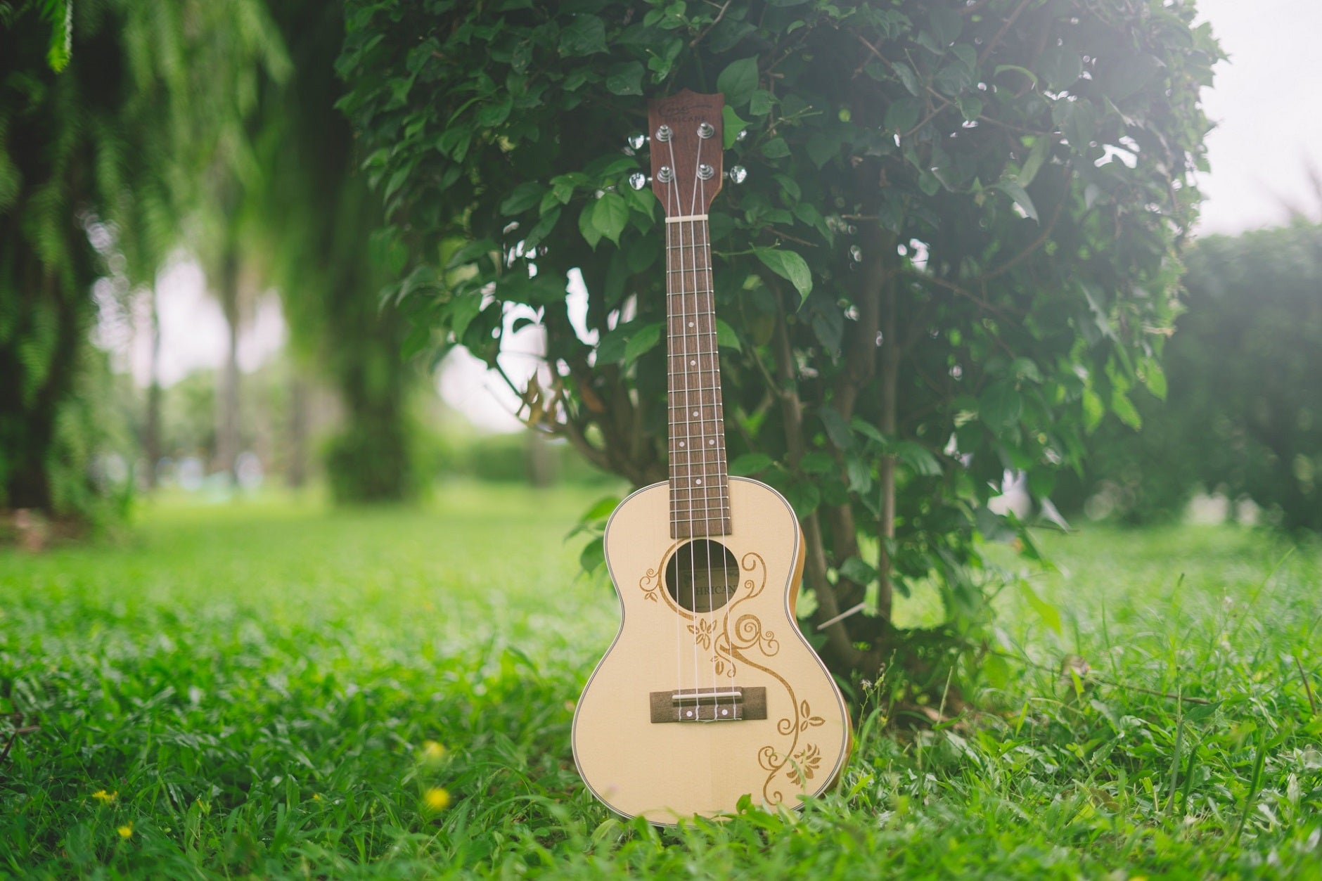 hricane spruce top ukulele