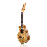 HRICANE concert size Spalted Maple ukulele