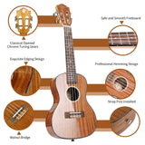 Concert size Sapele laminate ukulele with classic headstock