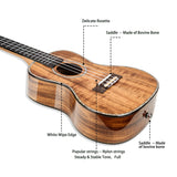 HRICANE Concert Solid Top Acacia Professional Ukulele Glossy Finished