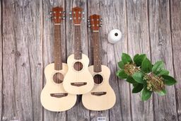 How to Choose the Right Ukulele for You!