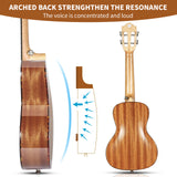 Concert size Sapele laminate ukulele with classic headstock